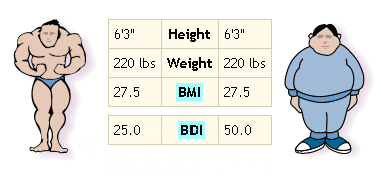Density Of Human Fat 85